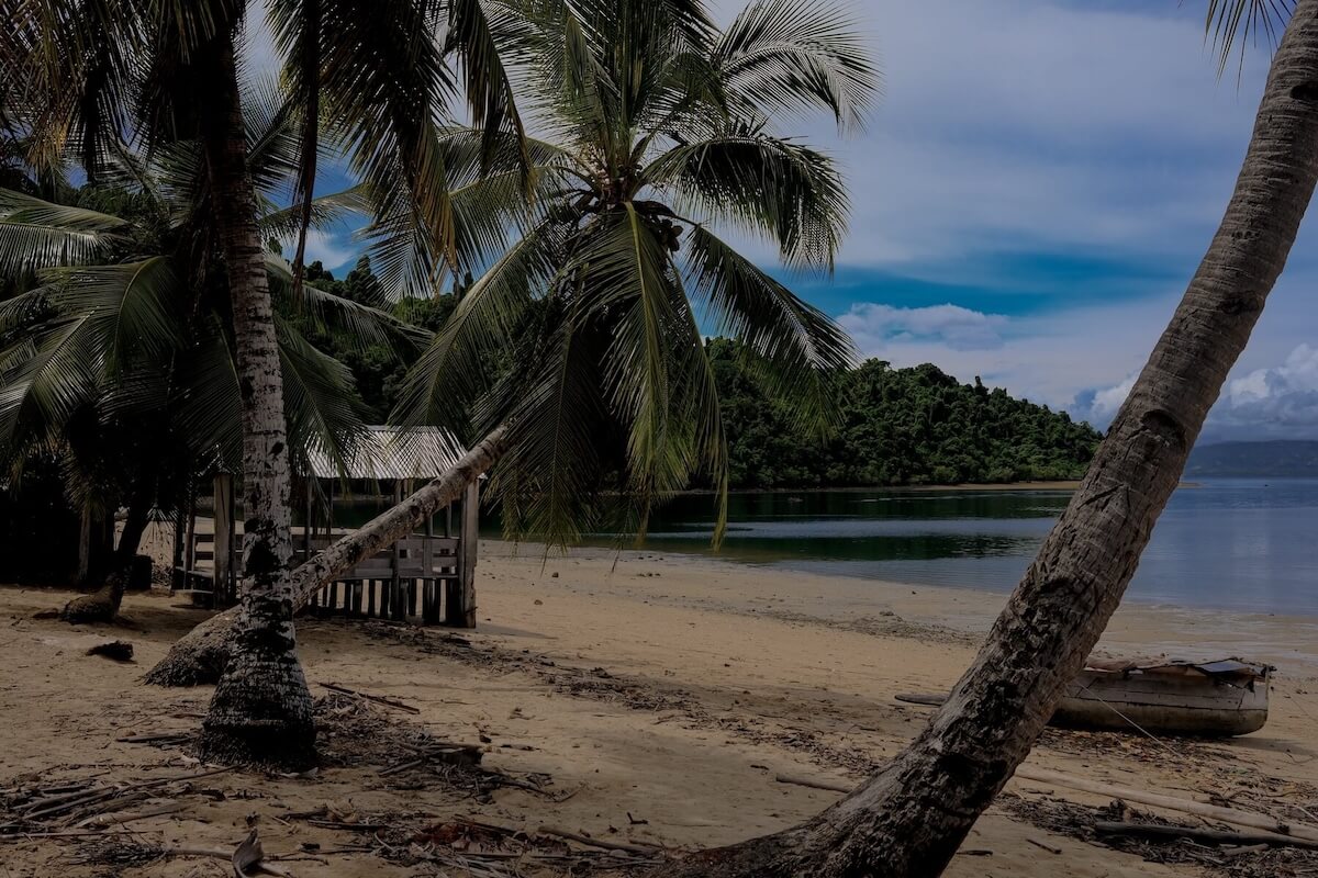 The RAW file: the beach under palms, dark and flat.